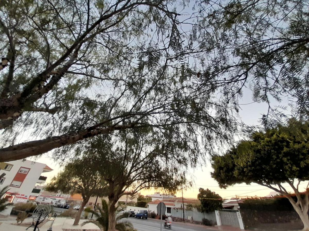 Tenerife Homestay San Miguel de Abona Bagian luar foto
