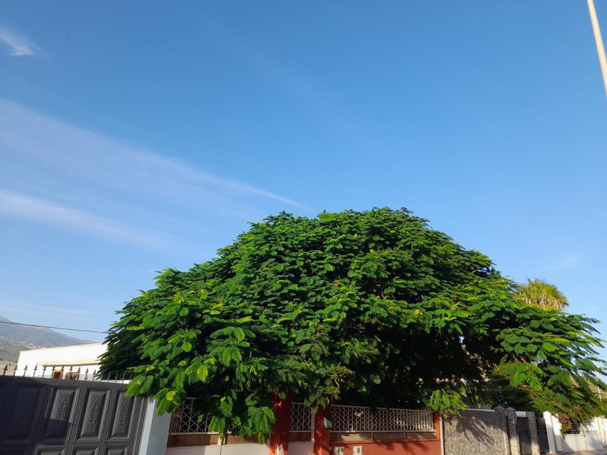 Tenerife Homestay San Miguel de Abona Bagian luar foto