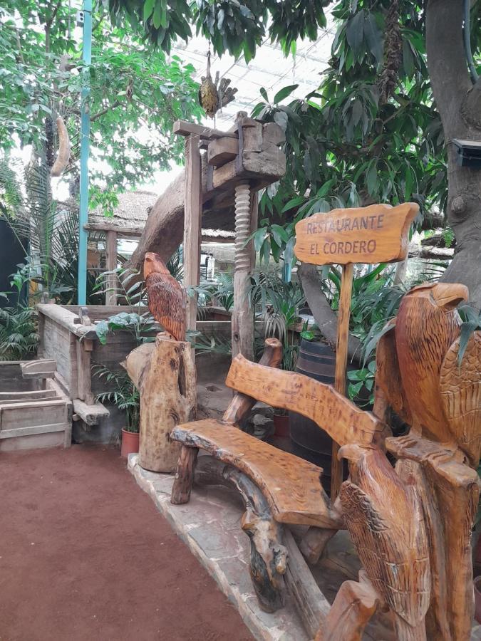 Tenerife Homestay San Miguel de Abona Bagian luar foto